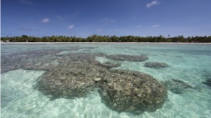 Kiribati president: Climate-induced migration is 5 years away