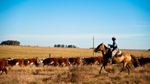 Uruguay pushes 100% renewables, just don’t mention the cows