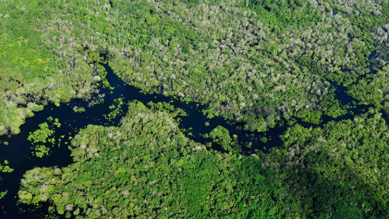 Brazil takes a step towards ratifying Paris climate deal