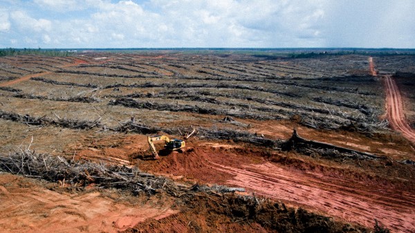 Indonesia calls EU palm oil fuel ban 'discriminatory', 'protectionist'