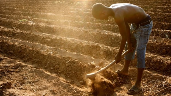 African youth go digital to keep climate-smart farming alive