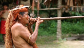 The Yagua tribe lands lie in the Colombian and Peruvian Amazon.