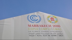 7 things you missed at COP22 while Trump hogged the headlines