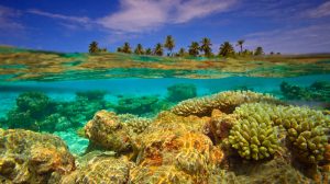 Maldives regime imperils coral reefs in dash for cash