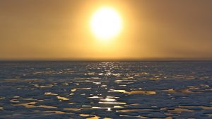 Polar sea ice hits record new low