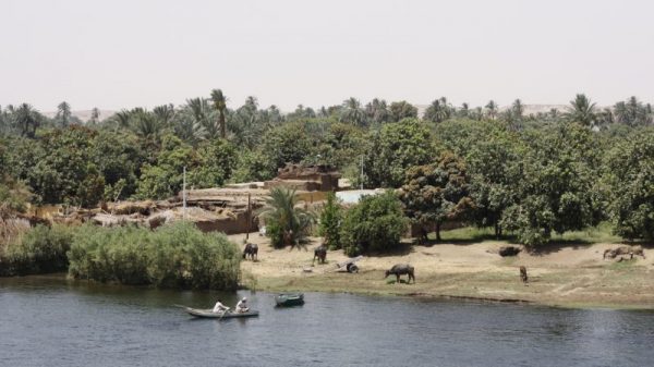 Egypt faces water insecurity as Ethiopian mega-dam rumours swirl