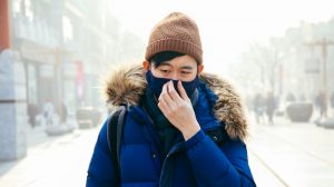 No heating at -6C: Poor bear brunt of Beijing's air cleanup
