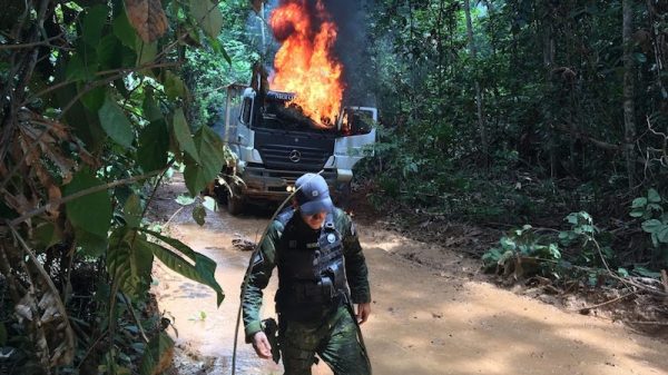 The Brazilian state letting illegal Amazon loggers keep logging