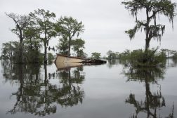 Life adapts to Louisiana's disappearing coast