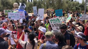 'This is bigger': Palestinian and Israeli teens strike together for the climate