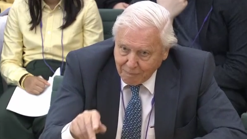 David Attenborough: Climate change may become abhorred as much as slavery