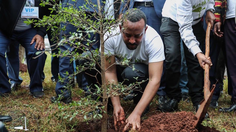 Ethiopia bids to plant four billion green push