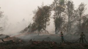 Indonesian government under pressure to stamp out toxic haze