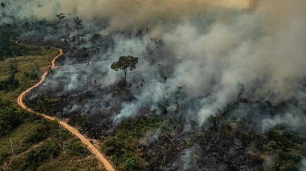 G7 countries offer $20 million emergency aid to fight Amazon wildfires