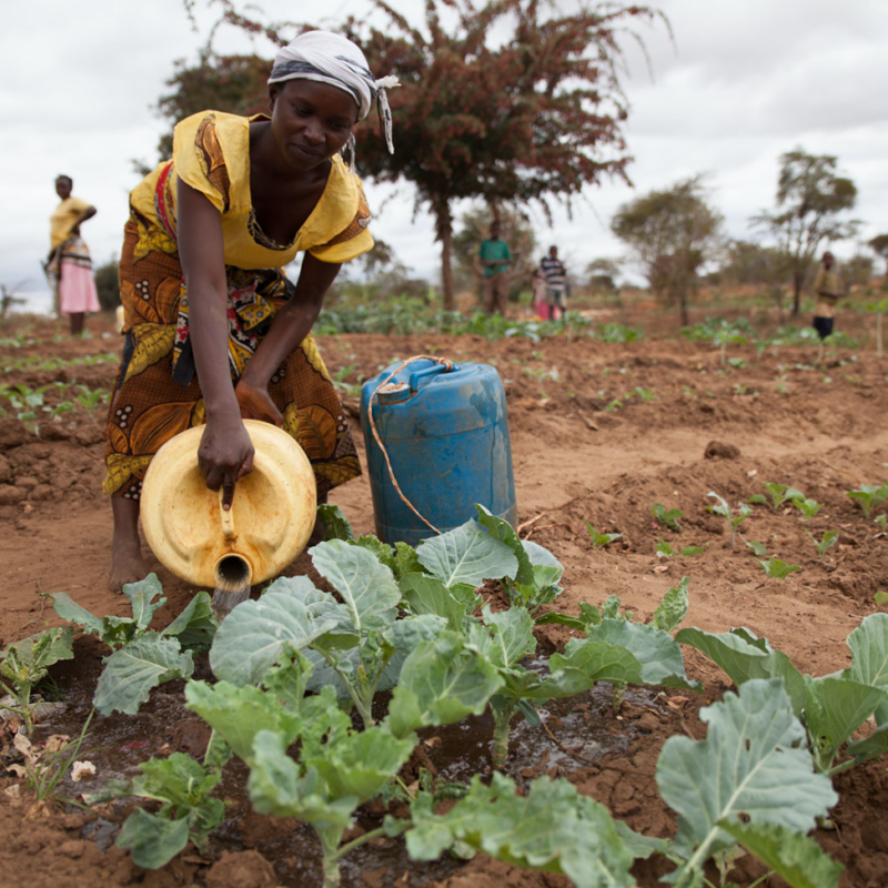 How a Kenyan climate change documentary inspired the world – Green Reporter