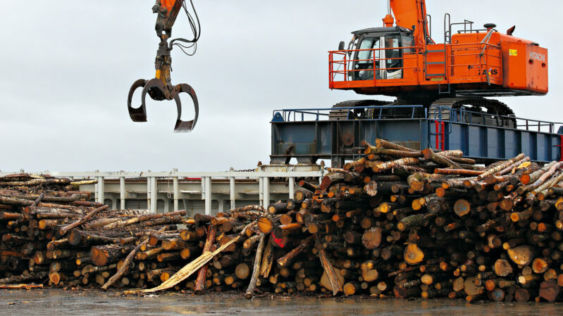 Not all biomass is carbon neutral, industry admits as EU reviews policy - Climate Home