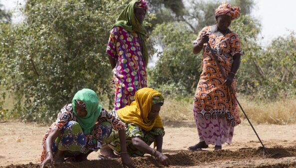 Slow progress on Great Green Wall prompts soul-searching at UN desertification summit