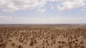 African ministers call for investment in Great Green Wall to aid Covid-19 recovery