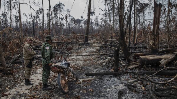 Brazil's military operations are not halting deforestation in the Amazon