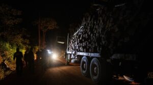 The net tightens around illegal logging operations in Pará, Bolsonaro’s stronghold