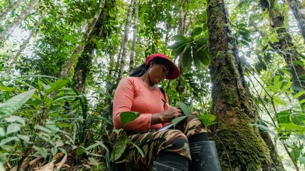 Colombia banks on forest economy to deliver climate ambition leap