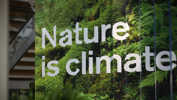 'Nature-based solutions' prove divisive at Glasgow climate talks
