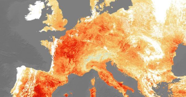 Satellite data helps to forecast heatwaves and drought with more precision
