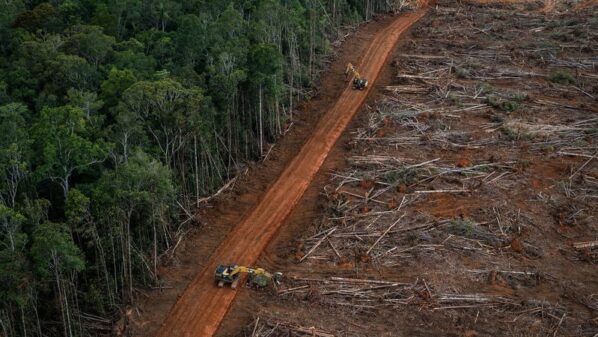 Norway underpaid Indonesia for forest protection results, study argues