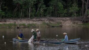 Amazon indigenous community restores giant freshwater fish and thrives