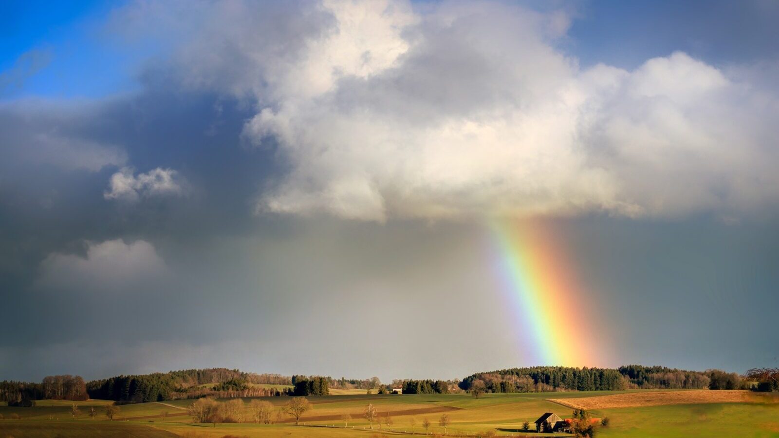 Over the rainbow: The role of hydrogen in a clean energy system, explained - Climate Home News