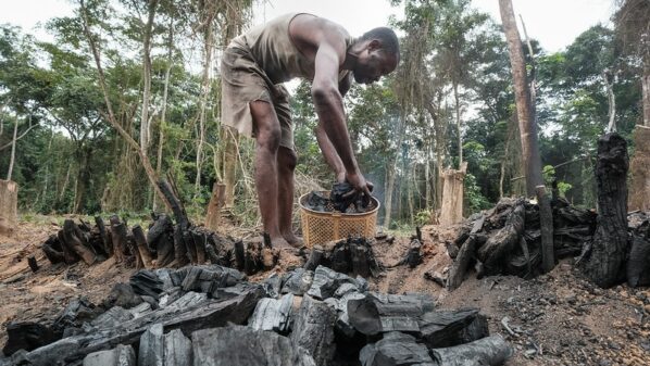 Oil not charcoal the biggest threat to Congo rainforest, top researcher warns