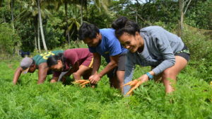 Youth engagement is pivotal to climate adaptation programmes