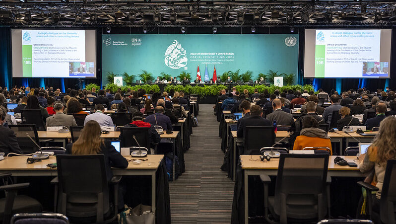 Delegates gathered in the plenary at the COP15 UN Biodiversity summit in Montreal.