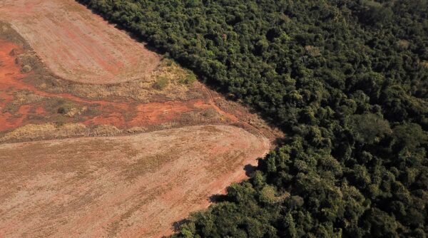 Destruction of Brazil's Cerrado savanna soars for third year in a row