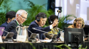 At the UN biodiversity negotiations, countries agreed to protect 30% of the world's land and oceans.