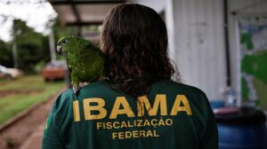 Brazil launches first raids against Amazon tree-cutters under Lula's new government