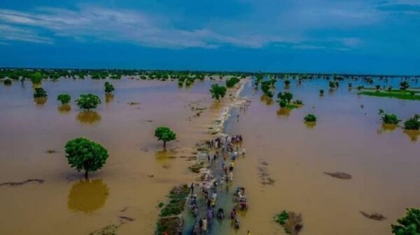 Despite killer floods, Nigerian presidential frontrunners dismiss climate change