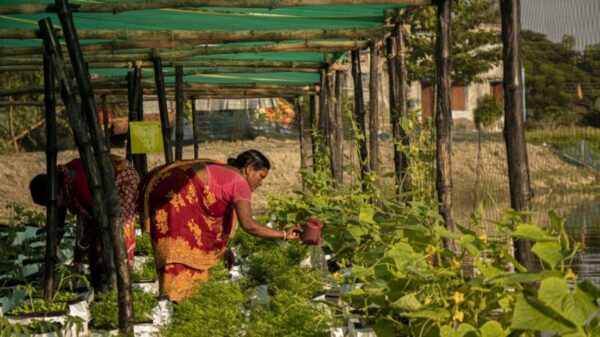Floating farms are transforming life on India’s waterways