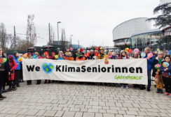 Demonstrators outside the European Court of Human Rights during the hearing of two landmark climate change and human rights cases