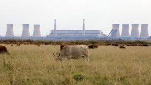 Local business group tries to keep South Africa's coal plants alive