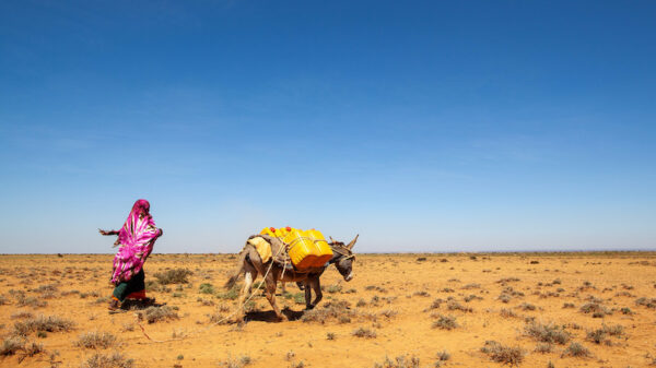 Governments fall short in UN's East Africa drought appeal