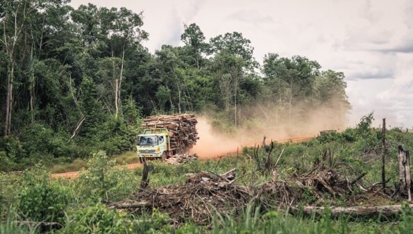Truck driving timber across deforested lands in Indonesia.