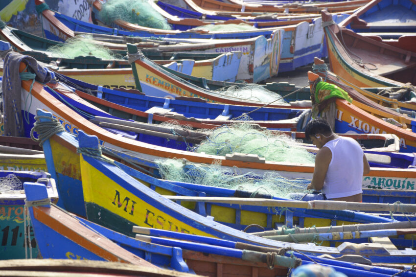 a line of fishing boats