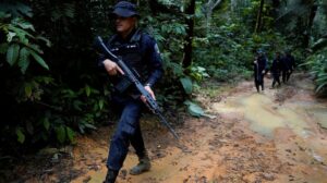 Amazon governments set sights on narco-deforestation