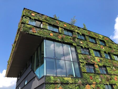 modern building with plants on the outside