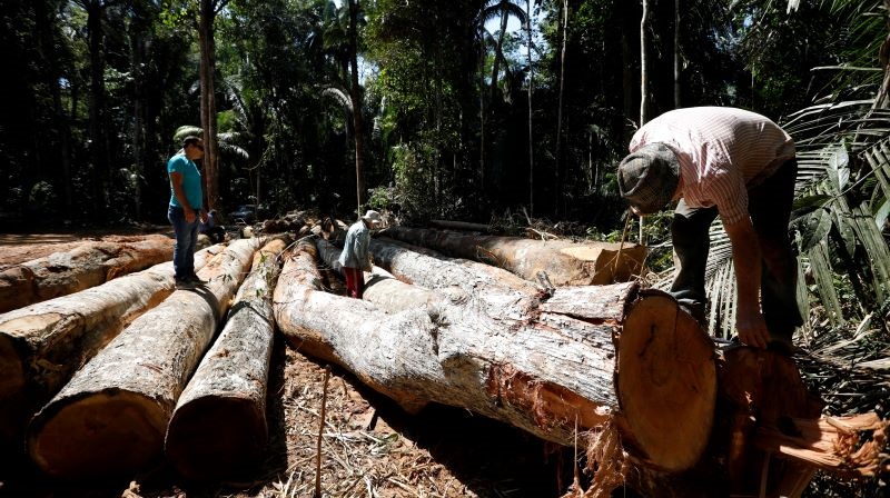 Brazil lawmakers approve using green fund to pave road through Amazon rainforest