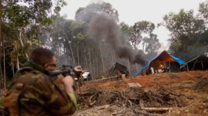 Amazon nations to tackle rainforest crime together in donor-funded new office