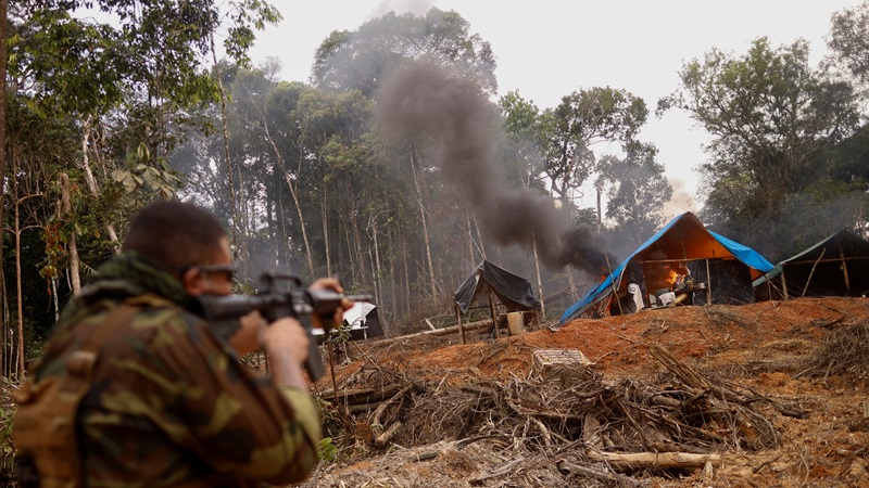 Amazon nations to tackle rainforest crime together in donor-funded new office thumbnail