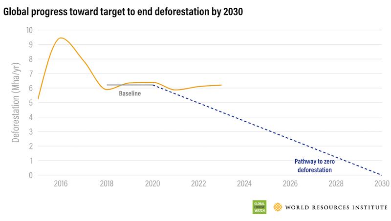 Governments off course for forest protection target