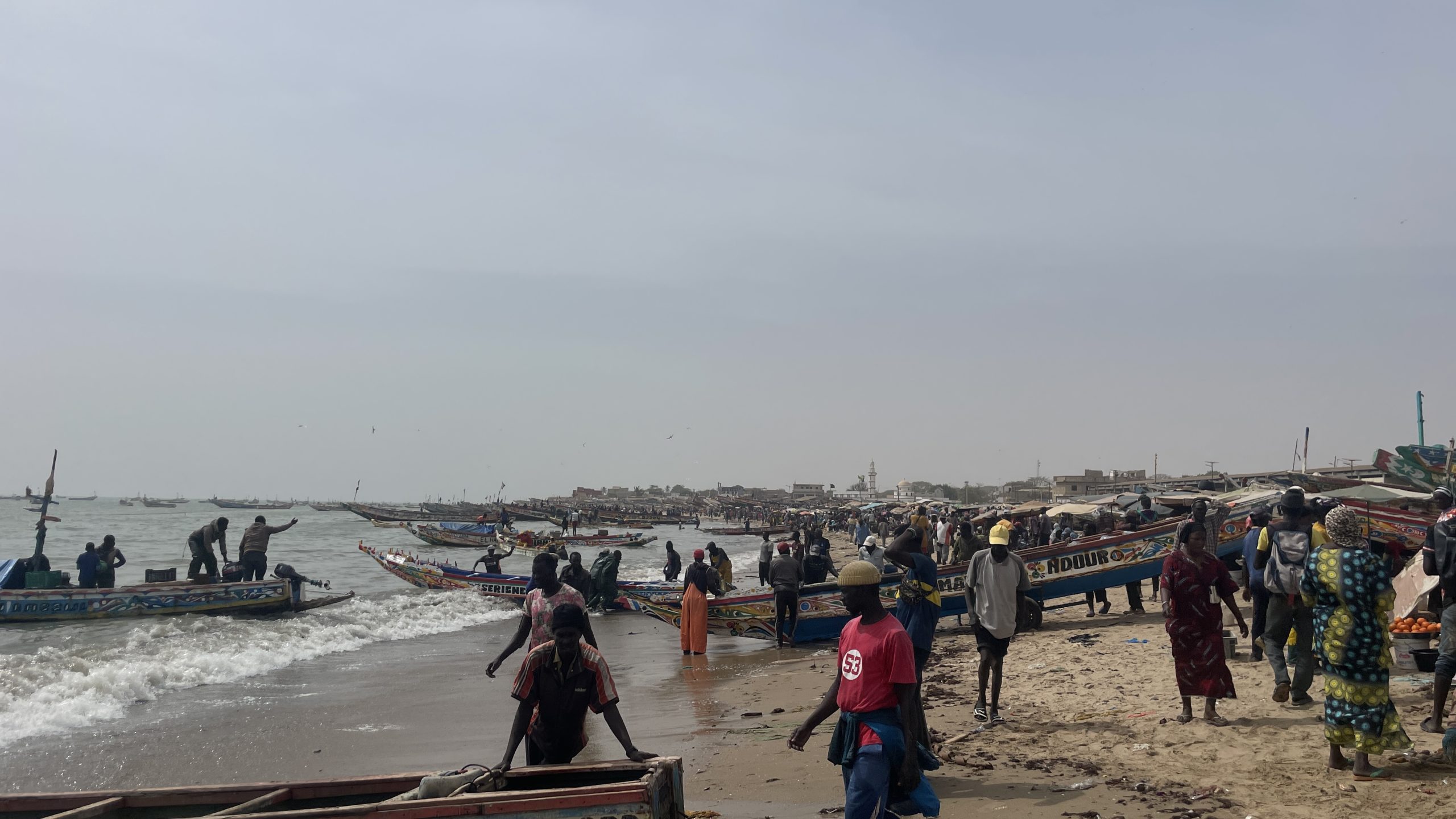 Hundreds of people gather at the beach of Mbour, Senegal, where fishermen unload the day's catch. The insurance arm of the World Bank, MIGA, used millions of its climate funds in chain hotels, while fishermen struggle with climate impacts.